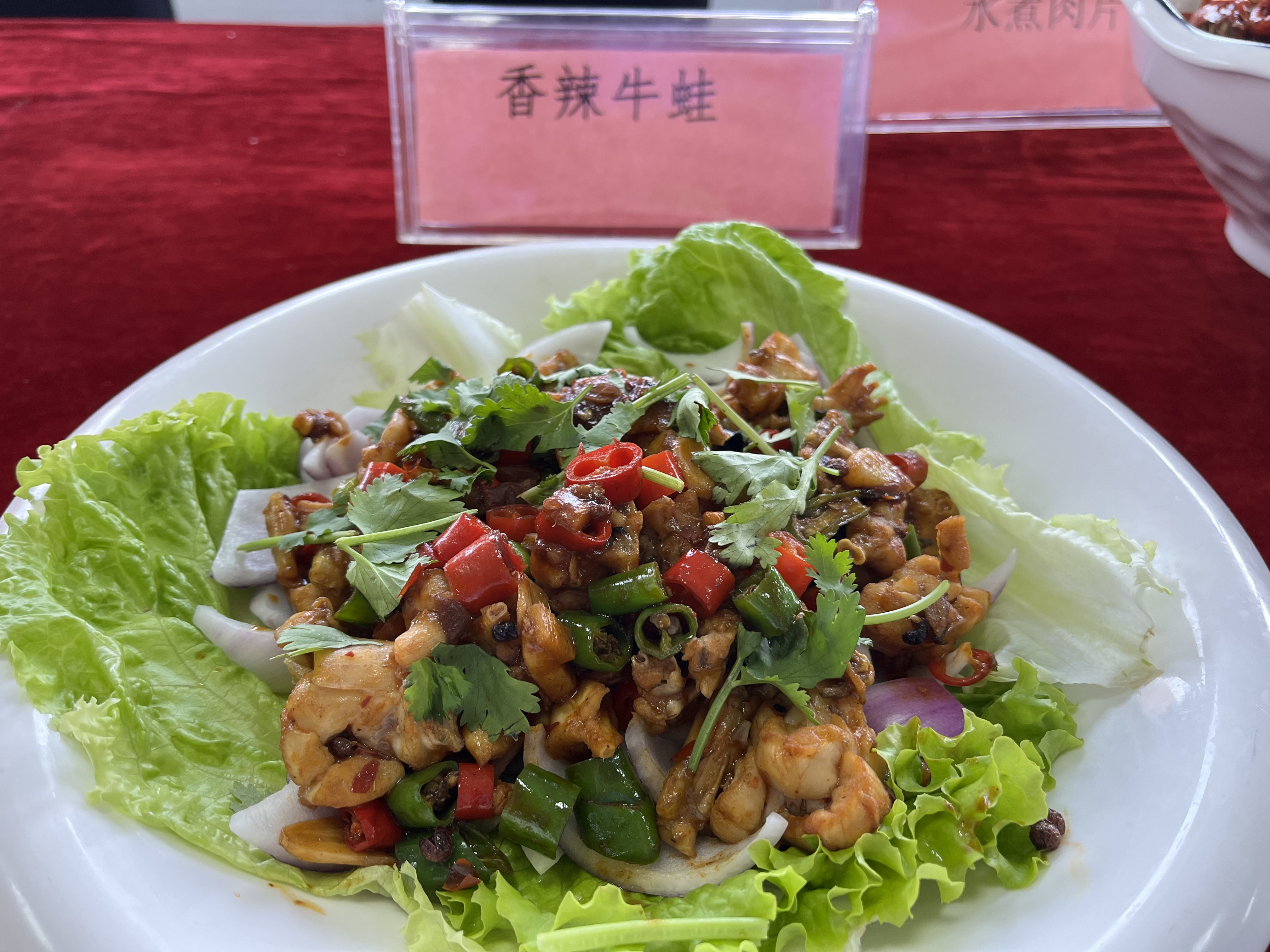 新华职业培训学校